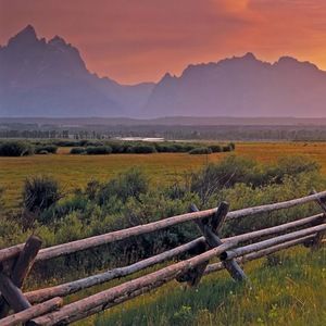 Meet your Posher, Grant